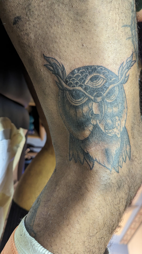 Black and Grey Owl with Shroom
